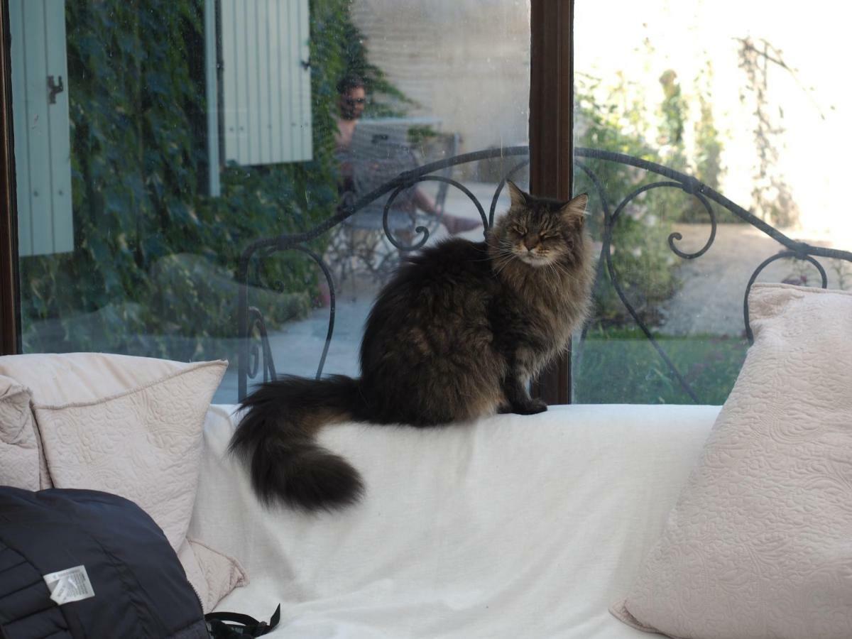 Le Chat Sur Le Toit Lourmarin Exteriör bild
